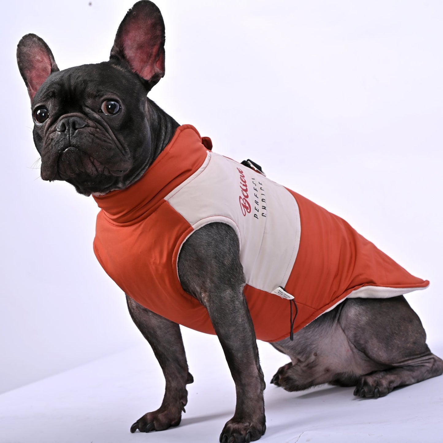 ChillChic-Frenchie-Winter-Jacket-with-Harness-www.frenchie.us