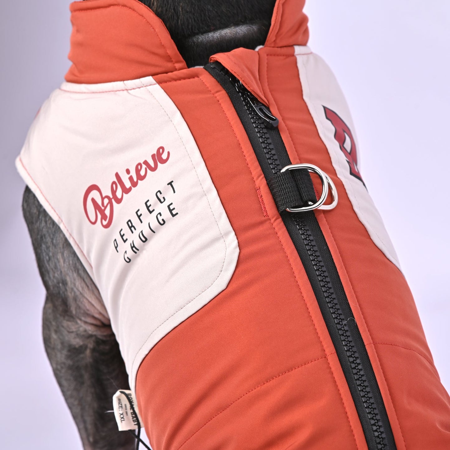 ChillChic-Frenchie-Winter-Jacket-with-Harness-www.frenchie.us