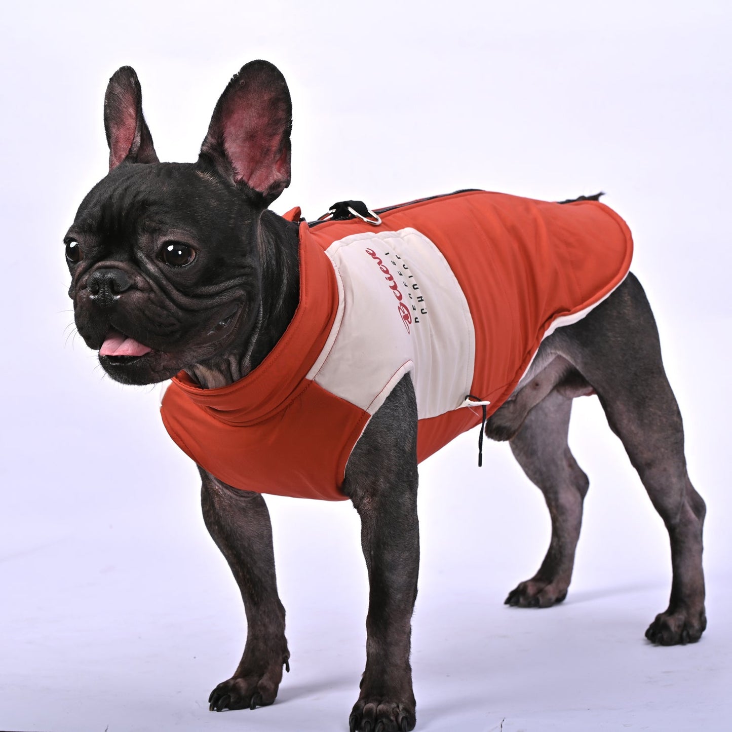 ChillChic-Frenchie-Winter-Jacket-with-Harness-www.frenchie.us