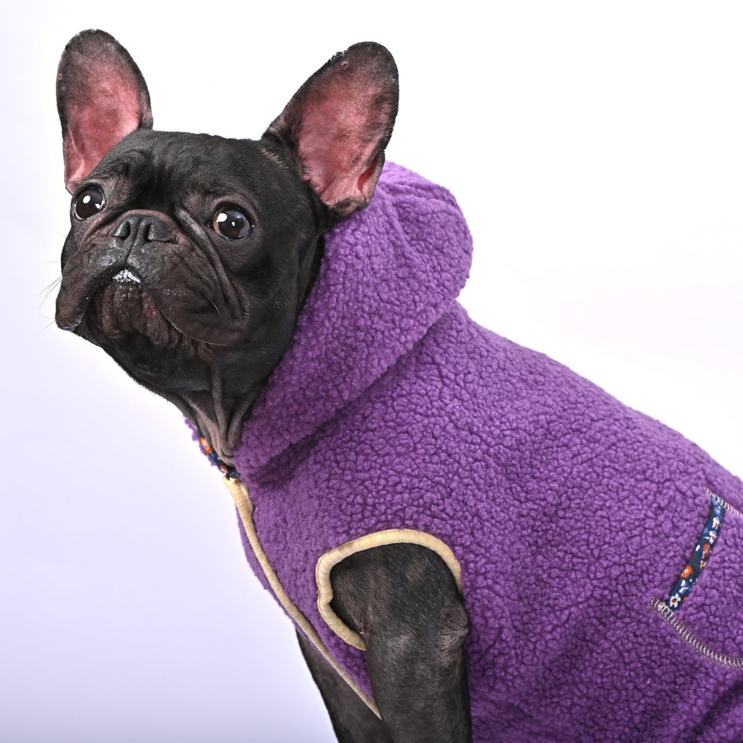 CozyWrap-Frenchie-Fleece-Winter-Hoodie-www.frenchie.us