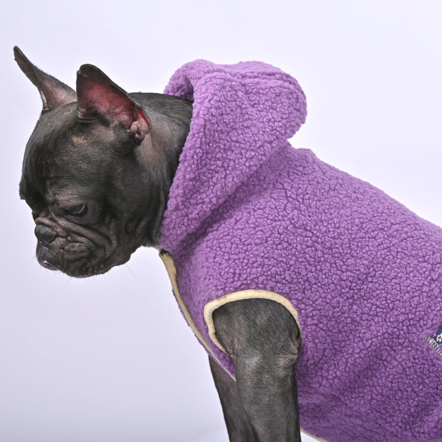 CozyWrap-Frenchie-Fleece-Winter-Hoodie-www.frenchie.us