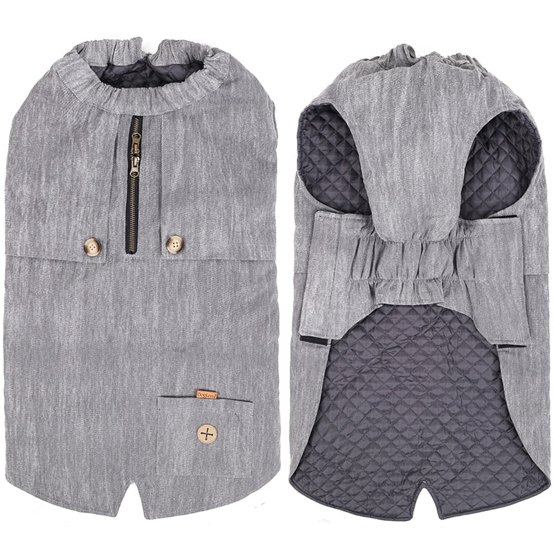 French-Zipper-Jackets-www.frenchie.us
