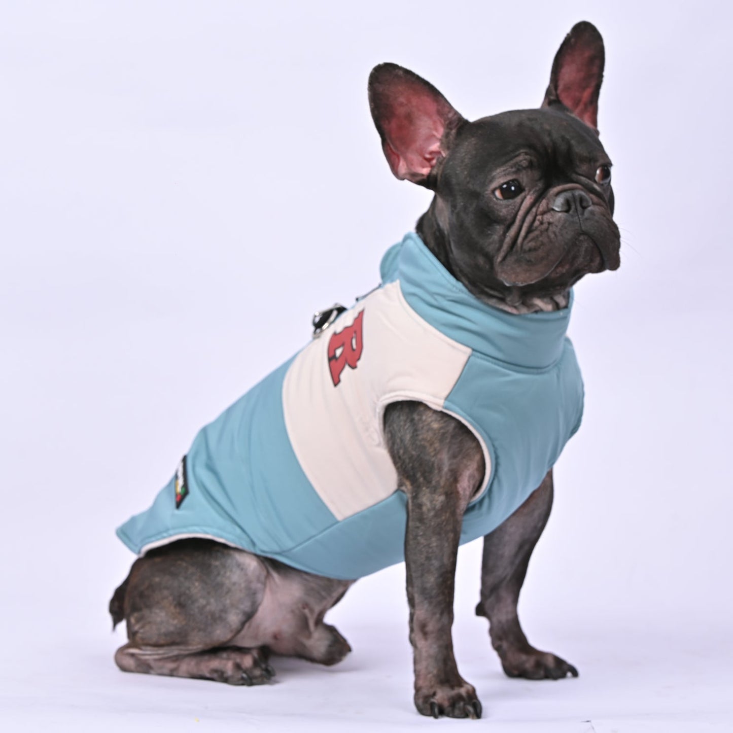 Frenchie-Winter-Jacket-With-Harness-Set-www.frenchie.us