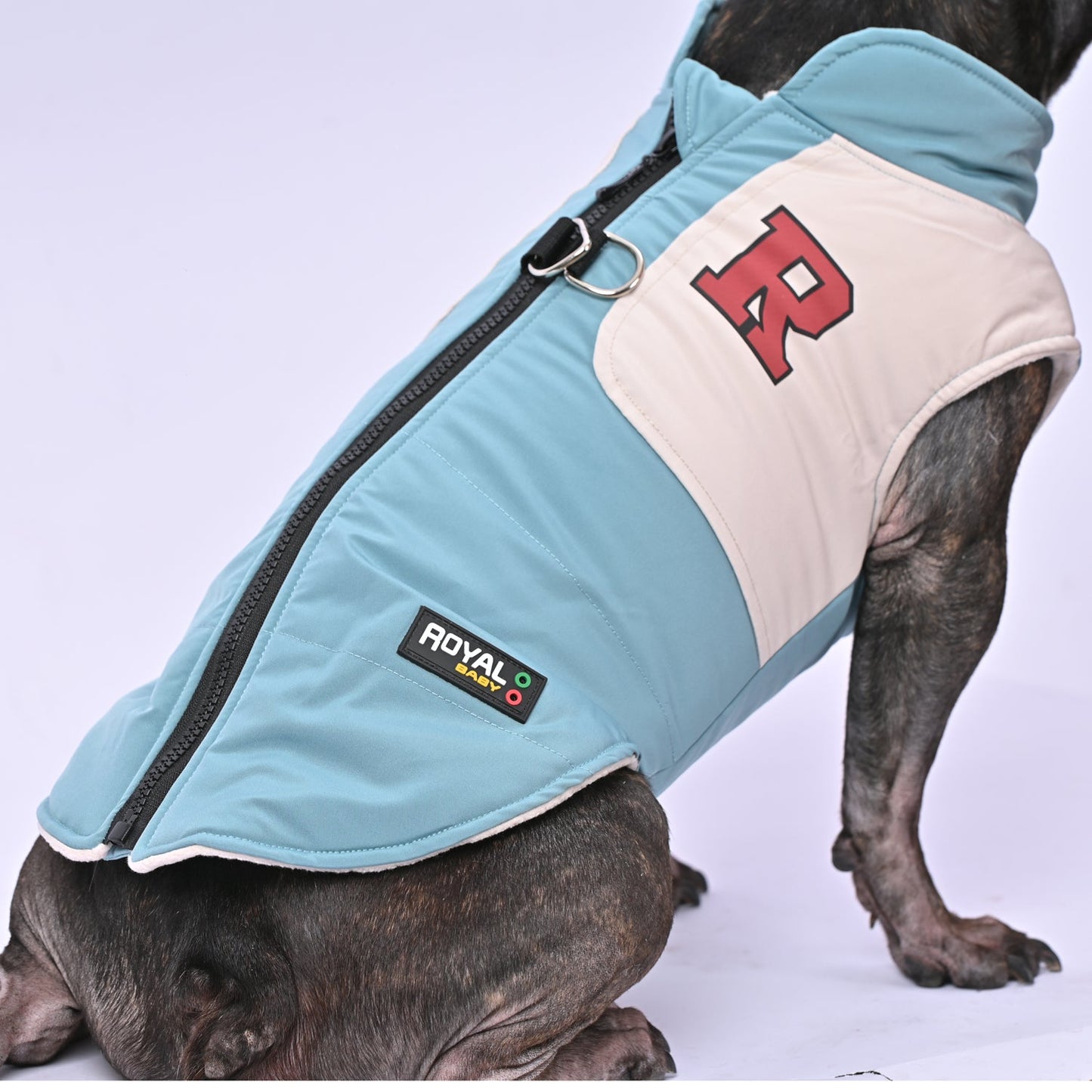 Frenchie-Winter-Jacket-With-Harness-Set-www.frenchie.us