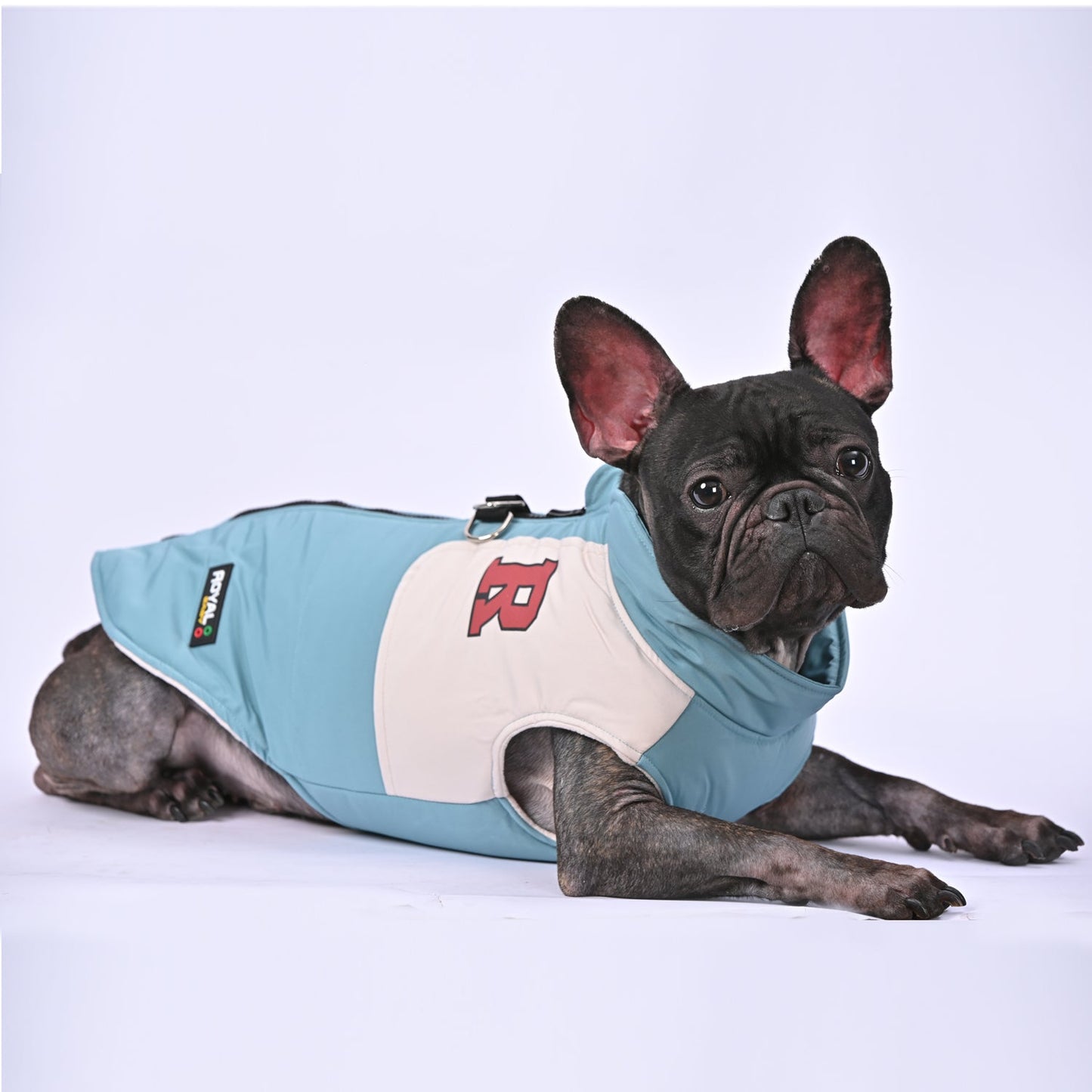 Frenchie-Winter-Jacket-With-Harness-Set-www.frenchie.us