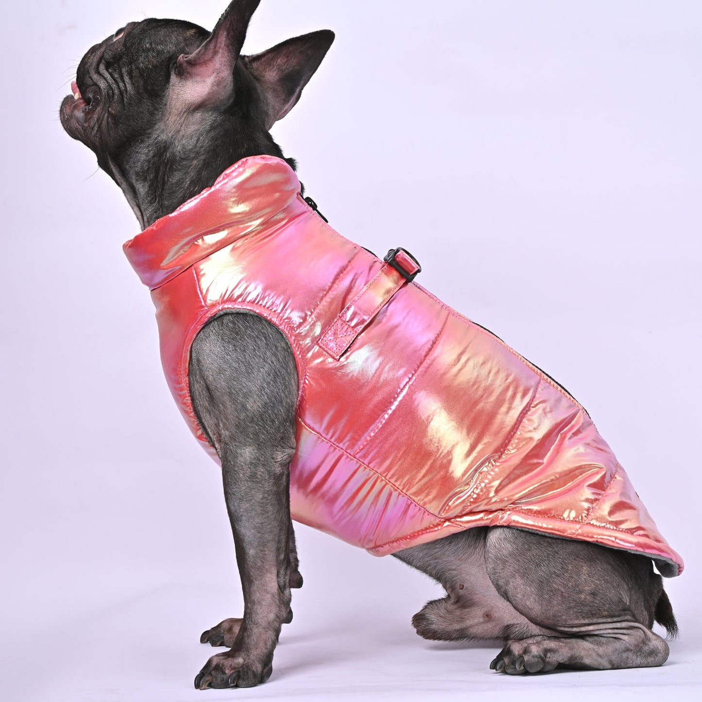 FrostShine-Frenchie-Reflective-Warm-Jacket-www.frenchie.us