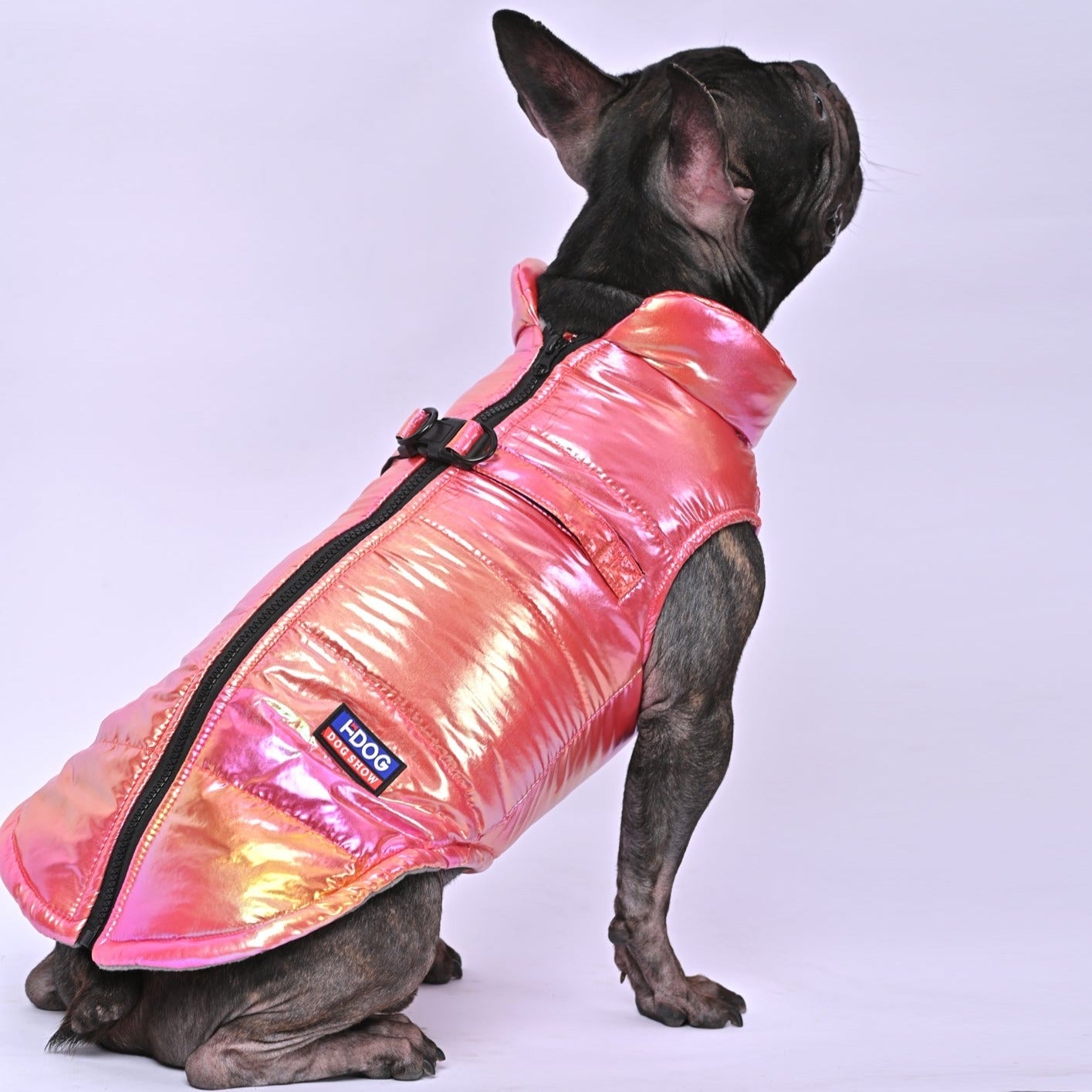 FrostShine-Frenchie-Reflective-Warm-Jacket-www.frenchie.us