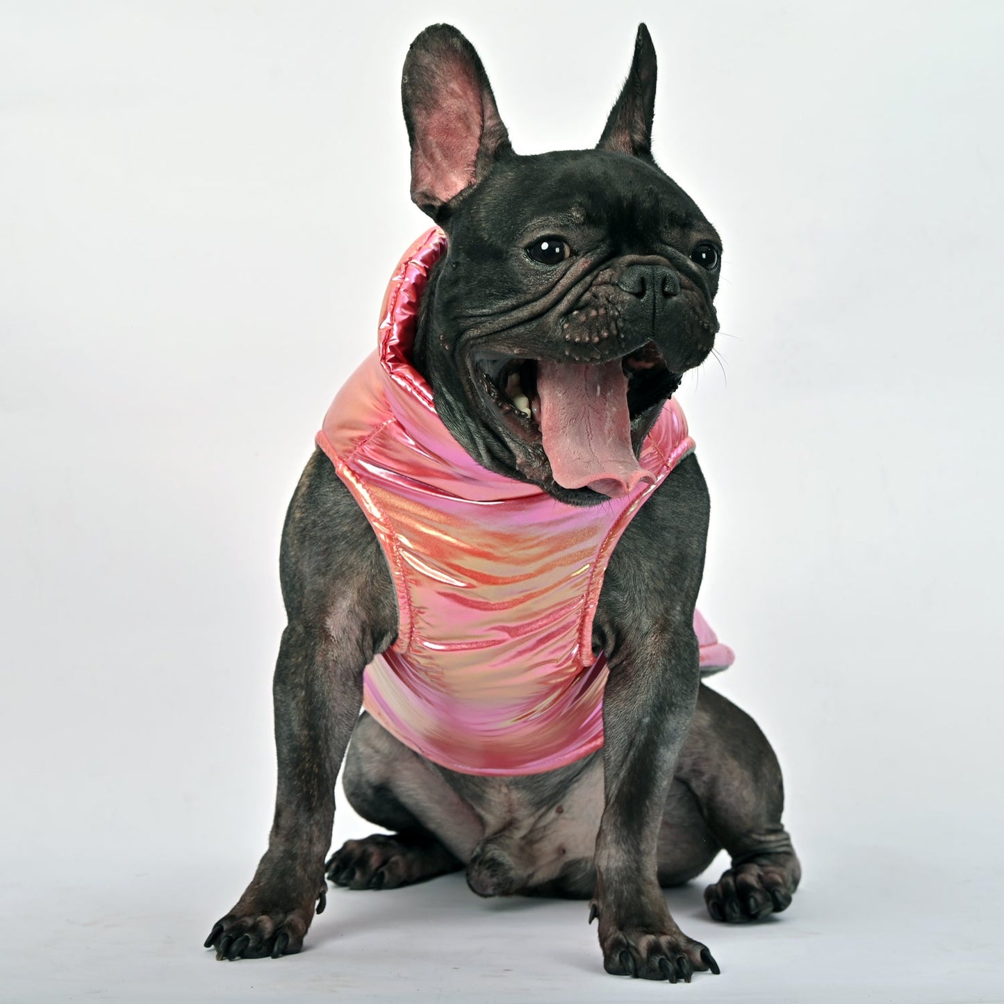 FrostShine-Frenchie-Reflective-Warm-Jacket-www.frenchie.us