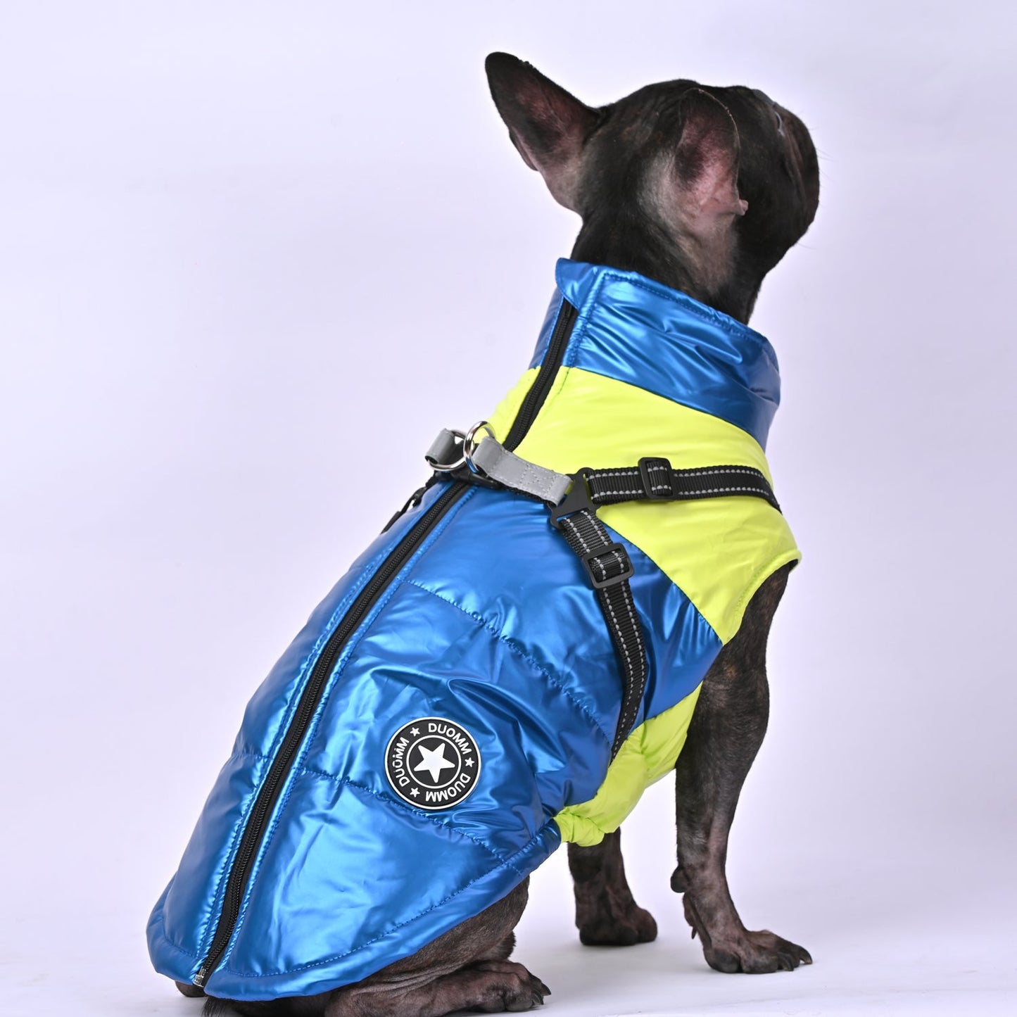 LumoPaws-Frenchie-Reflective-Jacket-www.frenchie.us