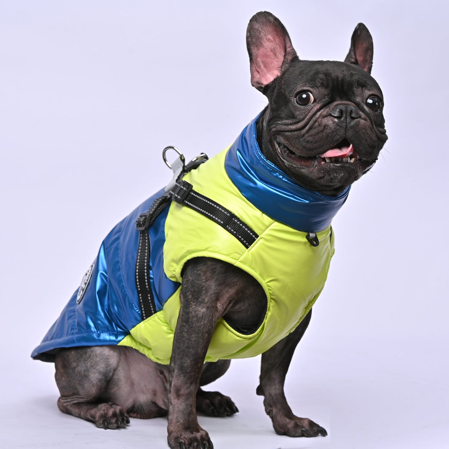 LumoPaws-Frenchie-Reflective-Jacket-www.frenchie.us