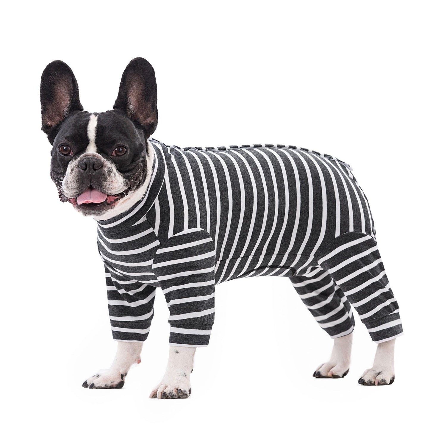 PoochStripe-Frenchie-Stylish-Pajamas-www.frenchie.us