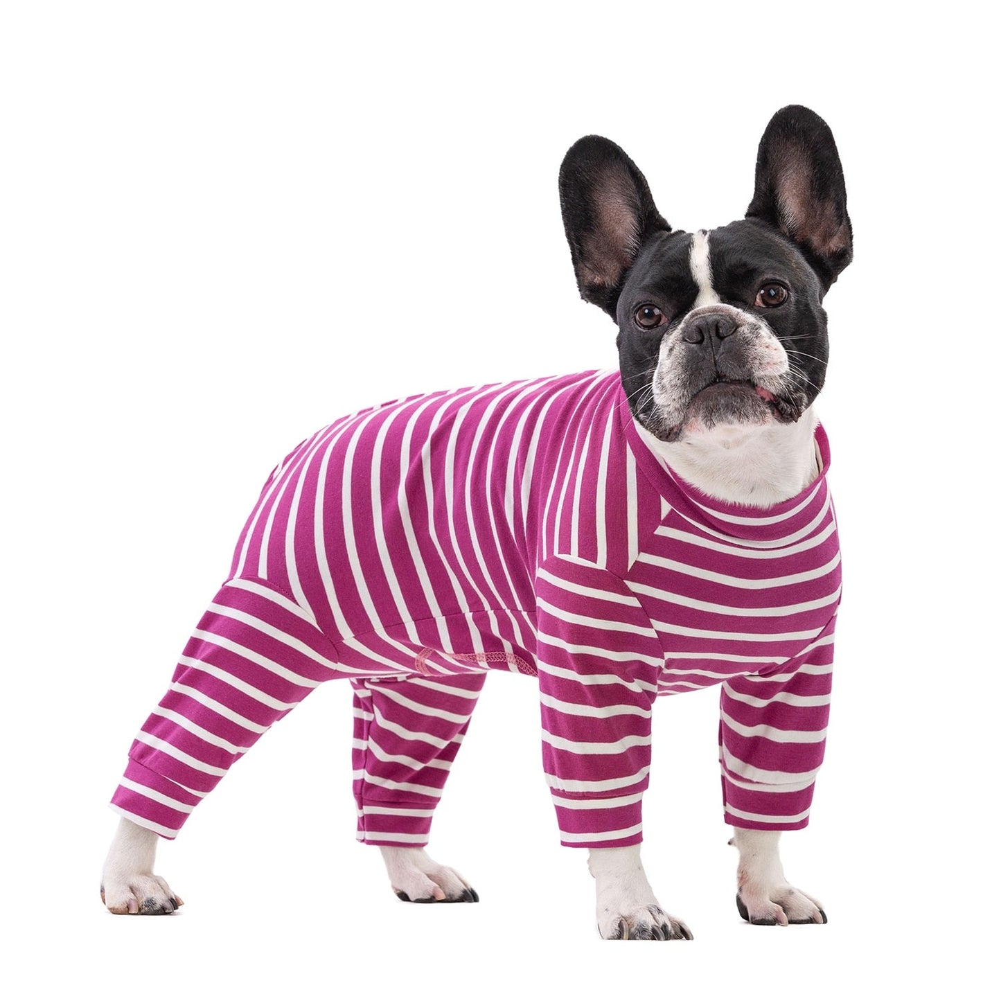 PoochStripe-Frenchie-Stylish-Pajamas-www.frenchie.us