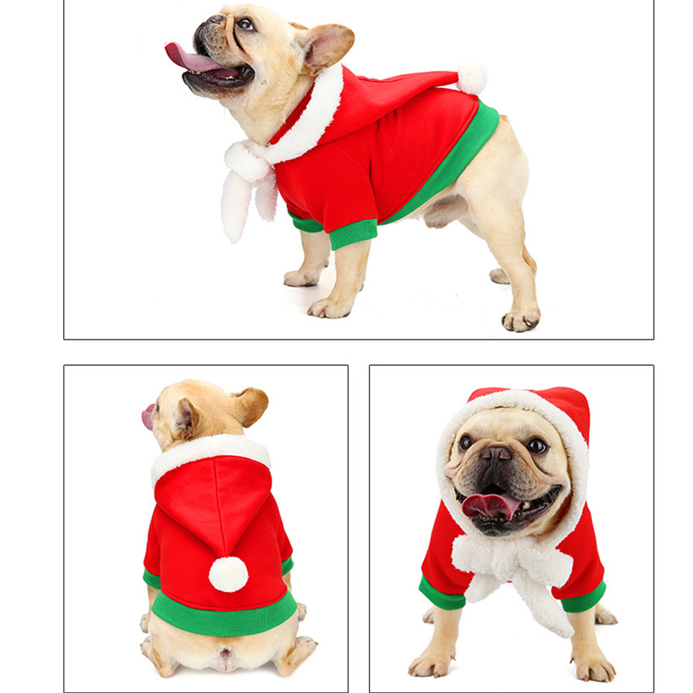 PupJoy-Frenchie-Christmas-Couture-www.frenchie.us