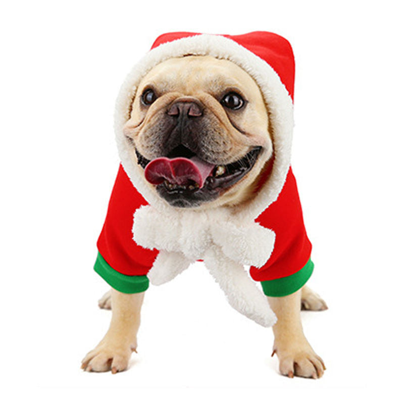 PupJoy-Frenchie-Christmas-Couture-www.frenchie.us
