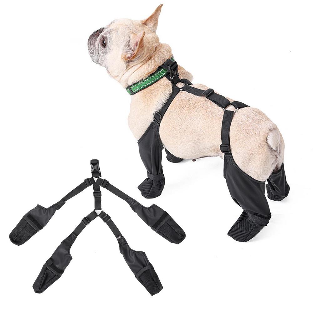 Sole-Savers-French-Bulldog-Footwear-frenchie.us