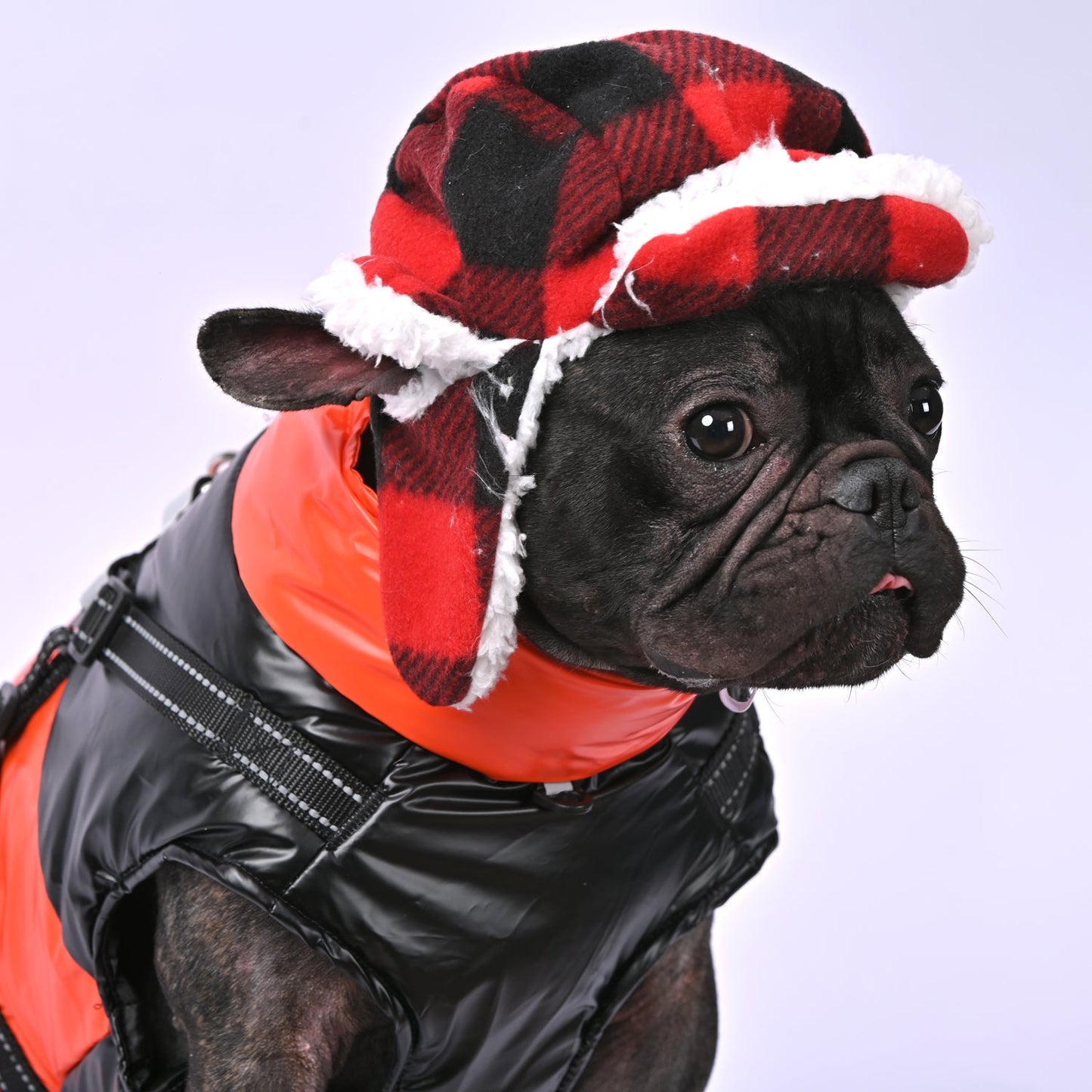 Winter-Glow-Frenchie-Reflective-Jacket-www.frenchie.us
