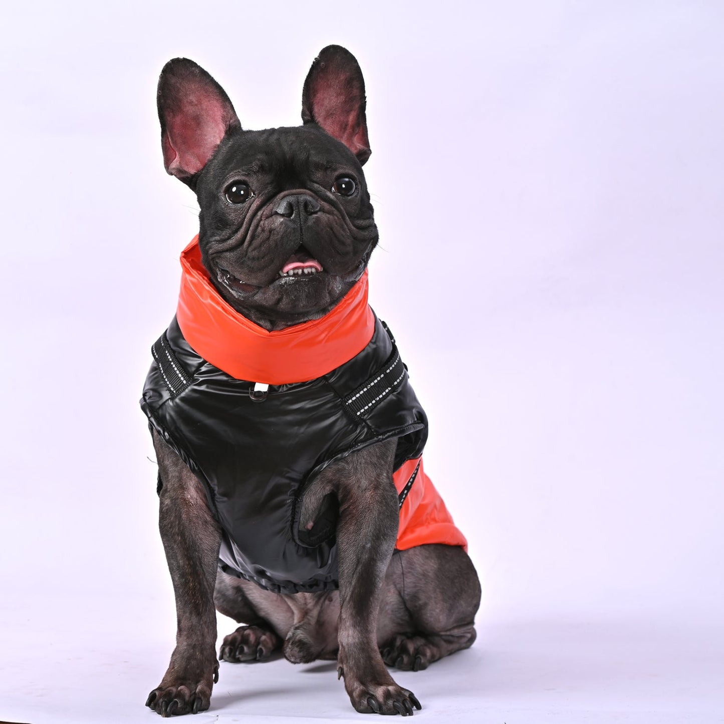 Winter-Glow-Frenchie-Reflective-Jacket-www.frenchie.us