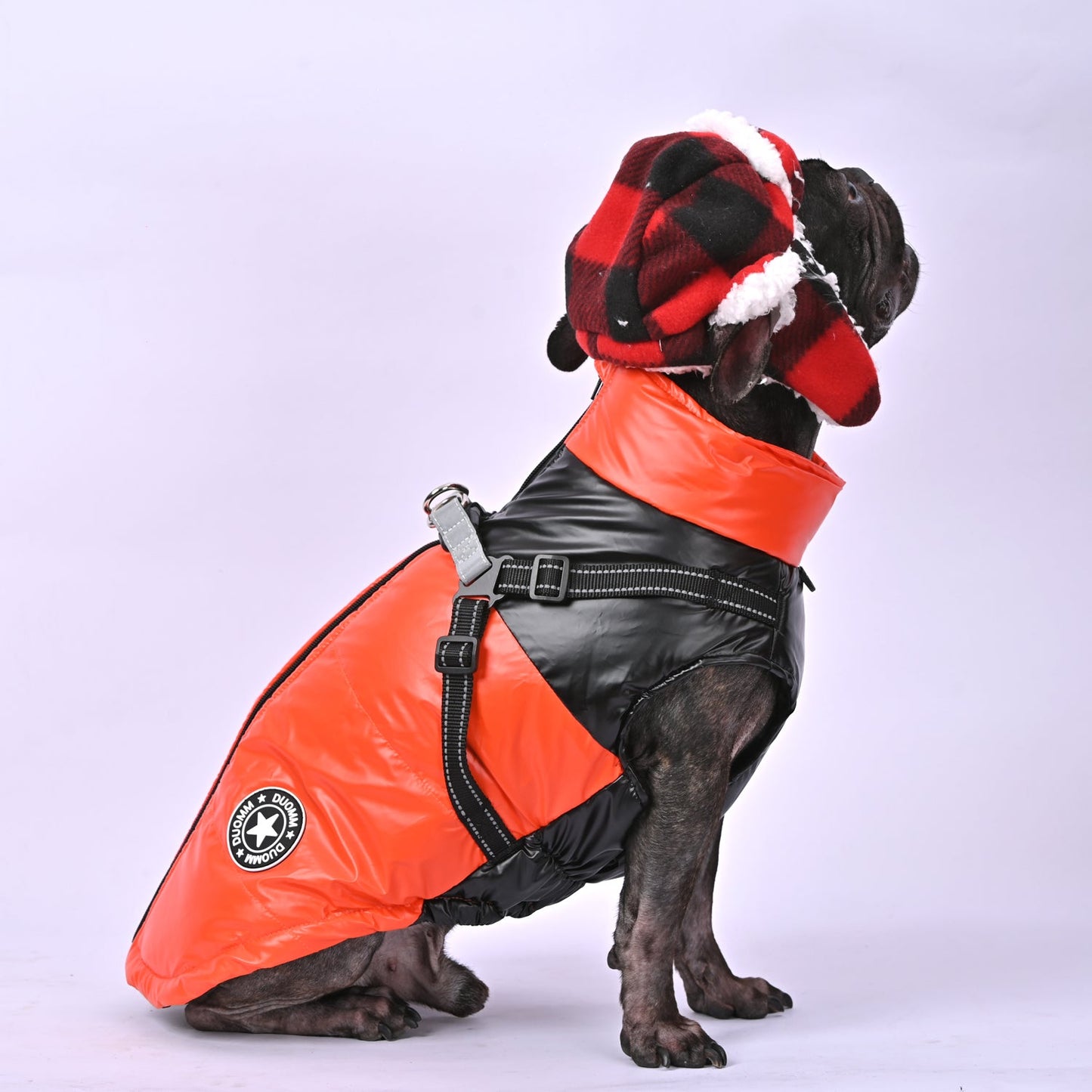 Winter-Glow-Frenchie-Reflective-Jacket-www.frenchie.us
