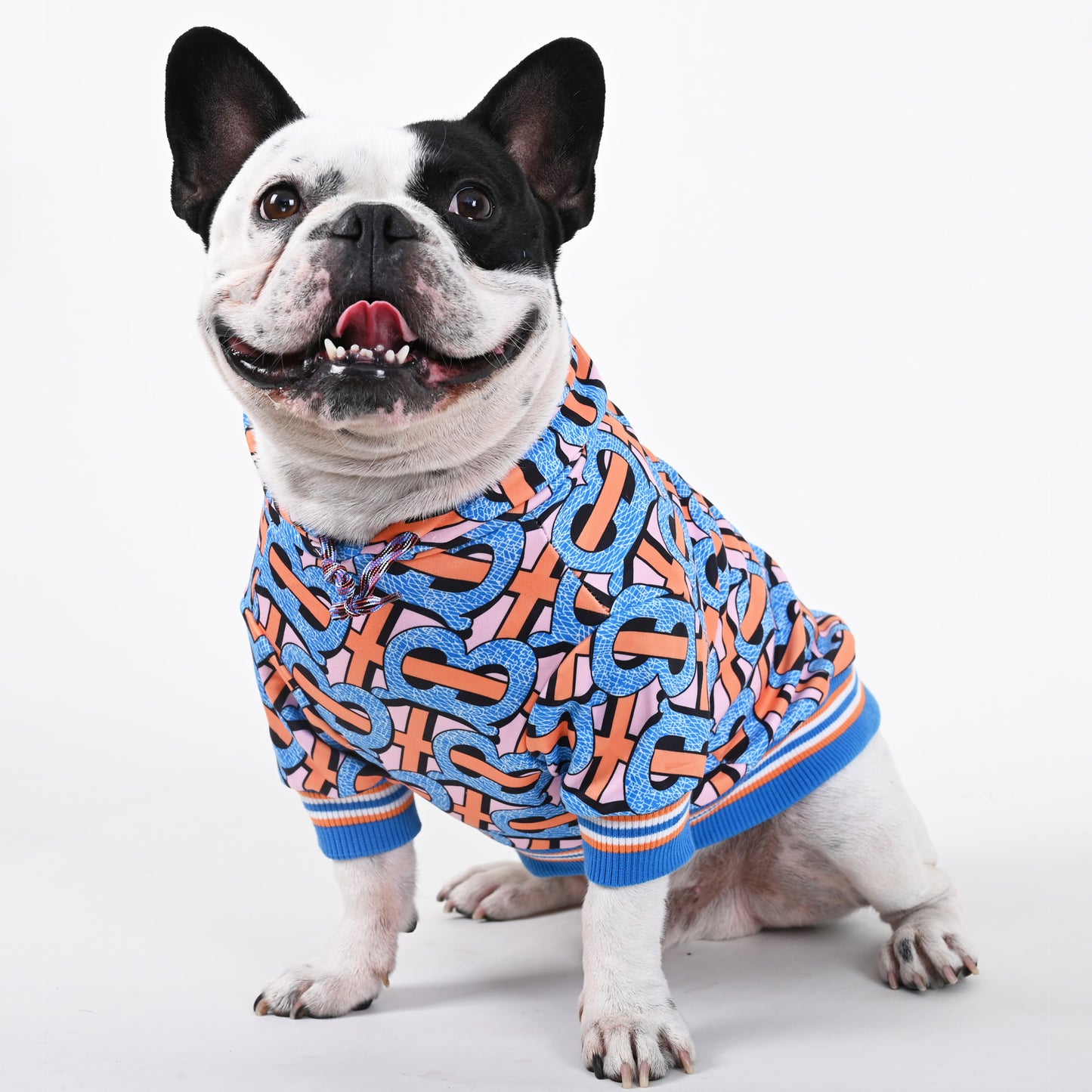 Billionaire - French bulldog Hoodie