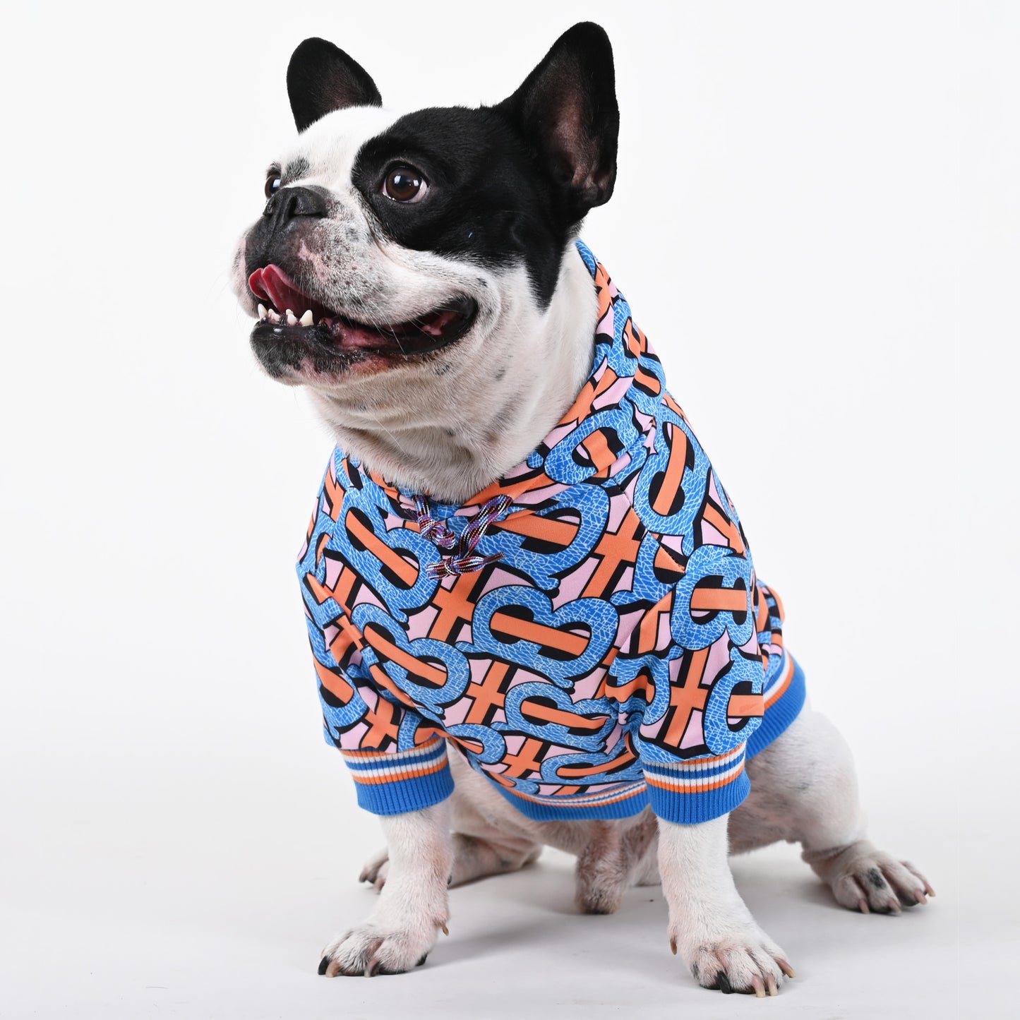 Billionaire - French bulldog Hoodie