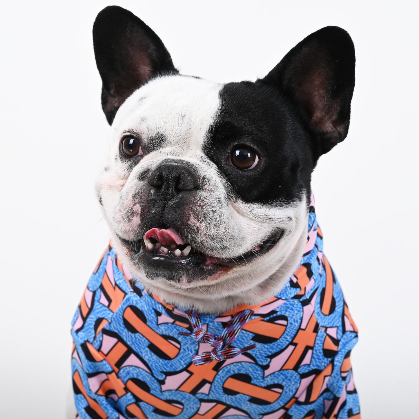 Billionaire - French bulldog Hoodie