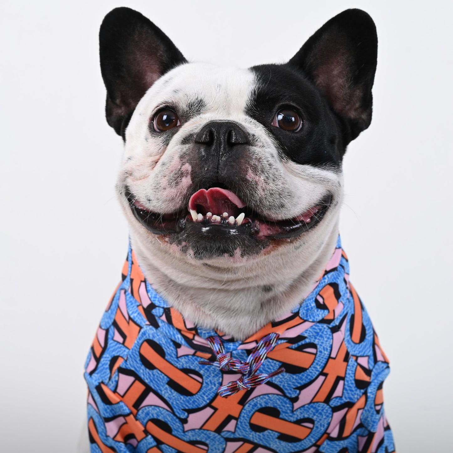 Billionaire - French bulldog Hoodie