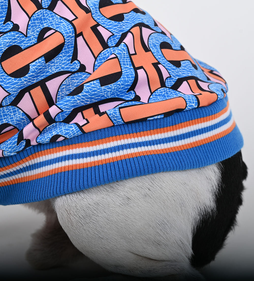Billionaire - French bulldog Hoodie