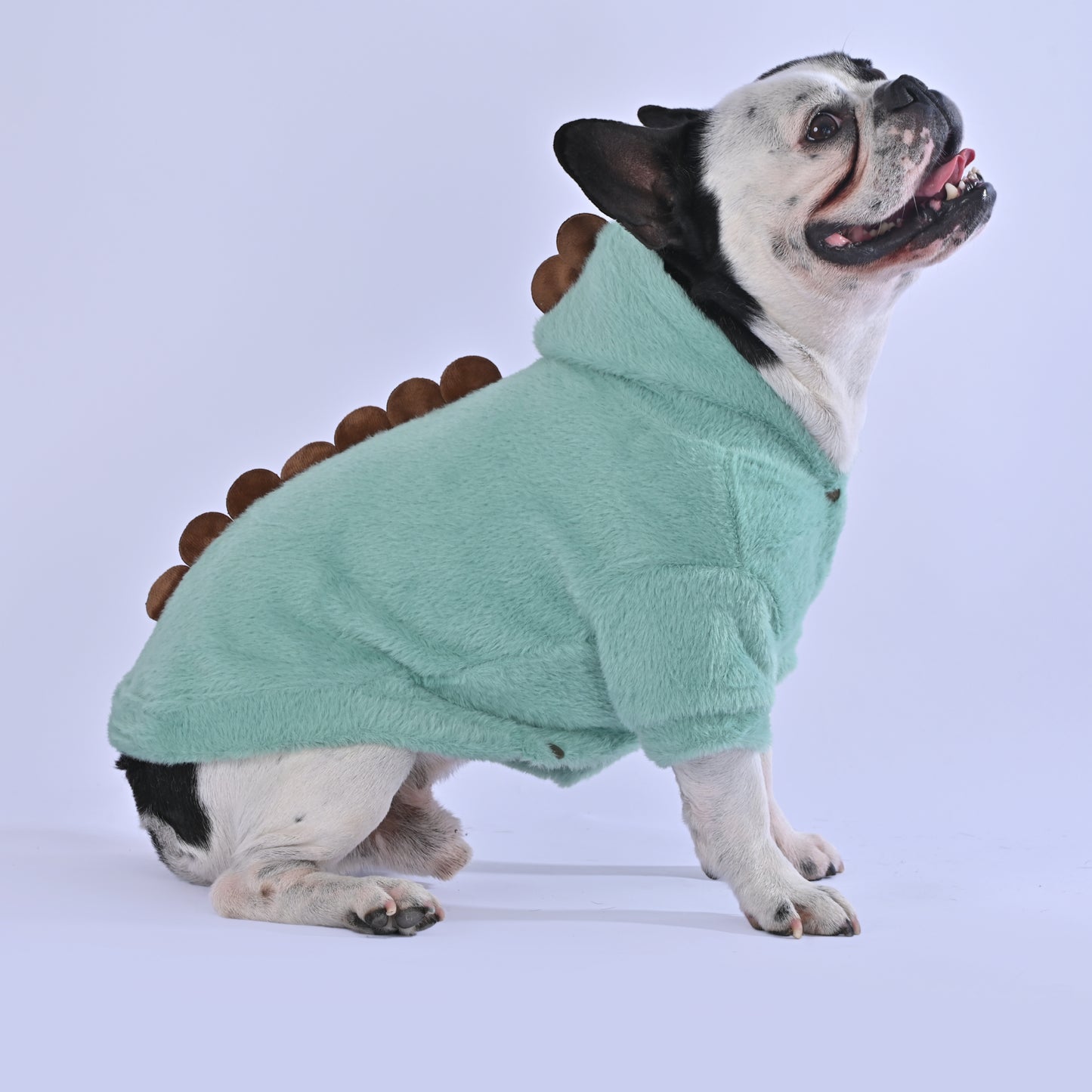 Dino-doggo Hoodie