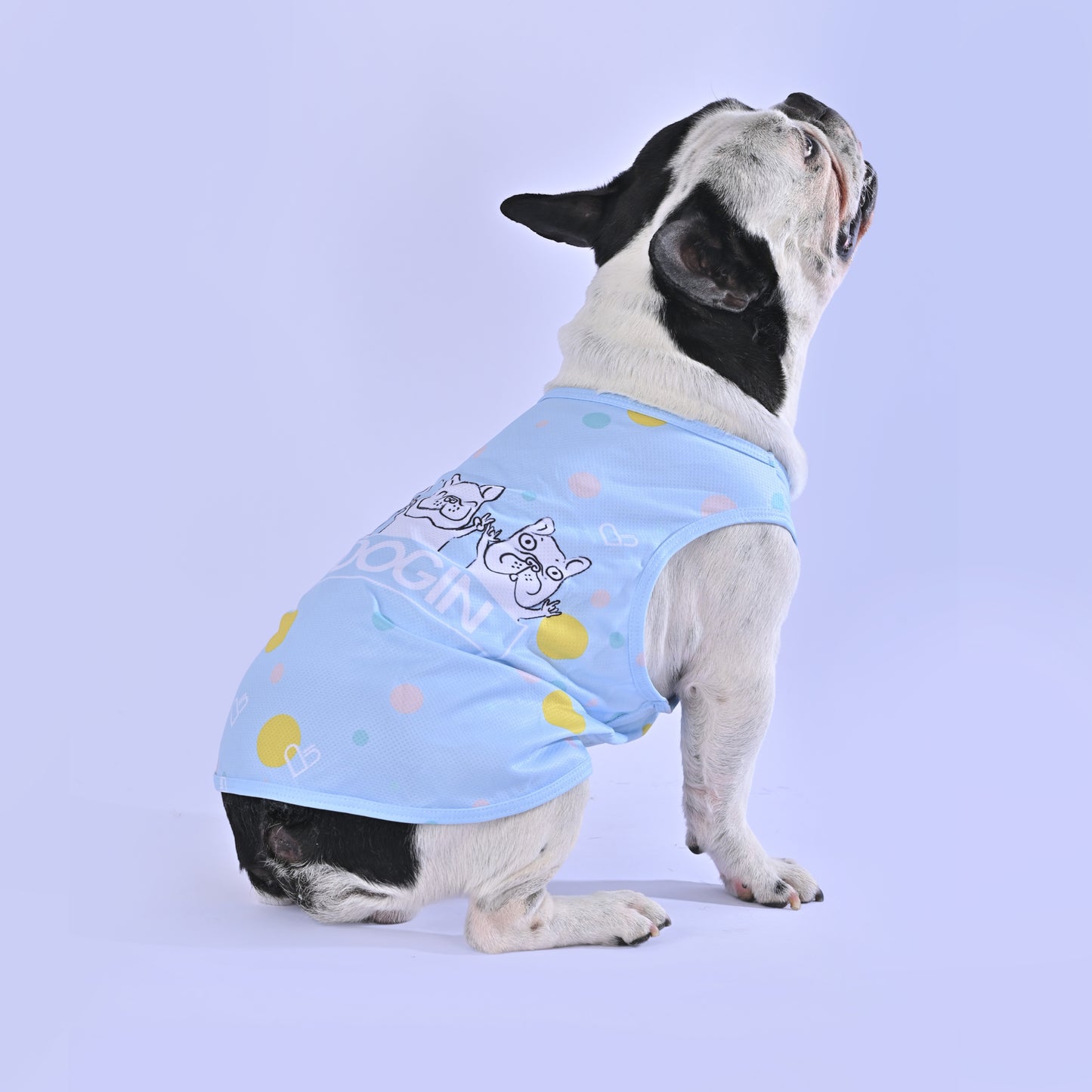 Cooling Shirt for Frenchies