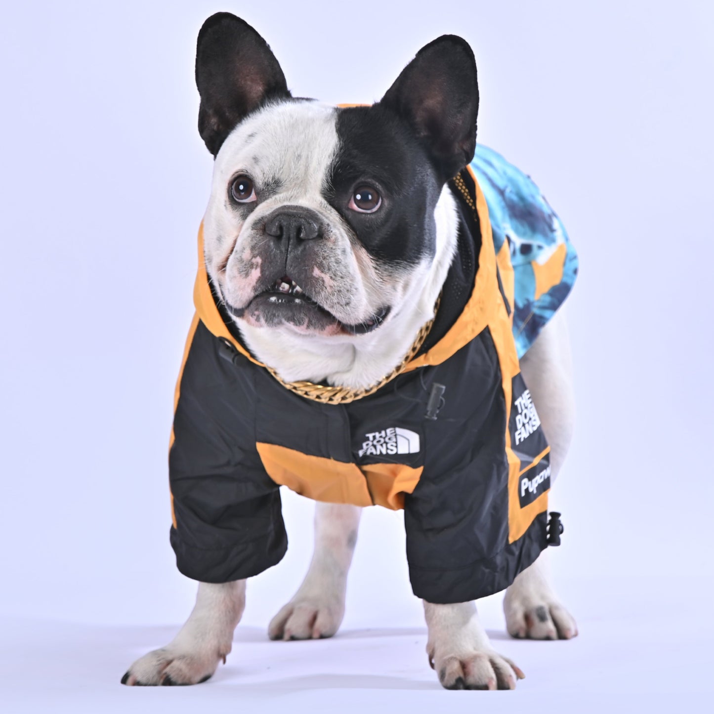 North Liberty Raincoat