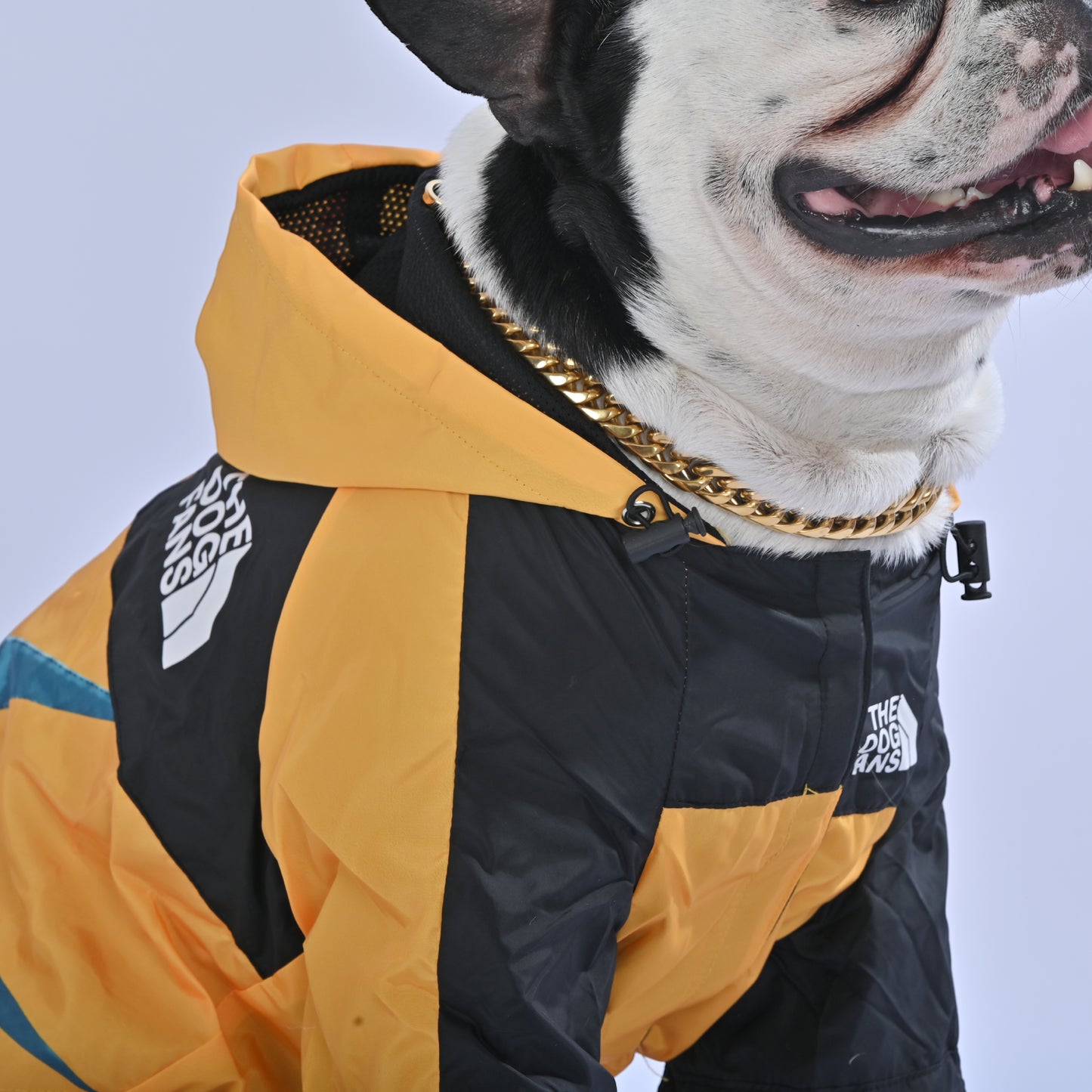 North Liberty Raincoat