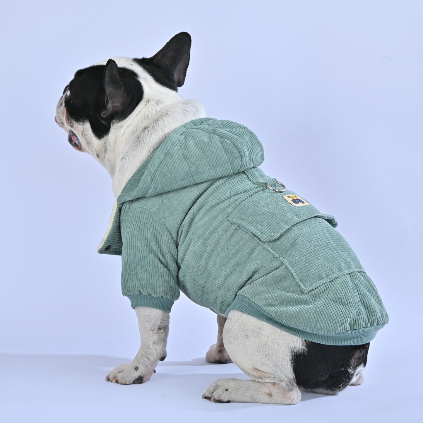 Classic Winter Special Hoodie