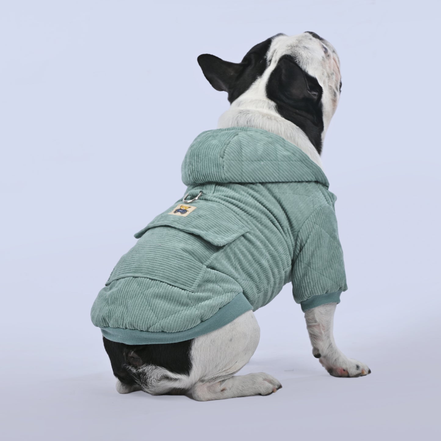 Classic Winter Special Hoodie