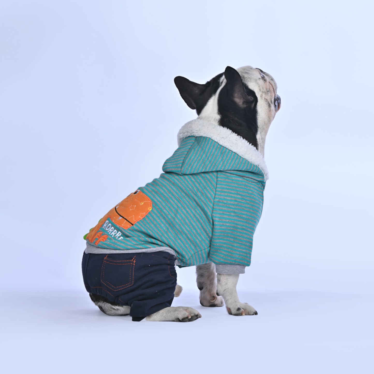 Casual Dino Hoodie