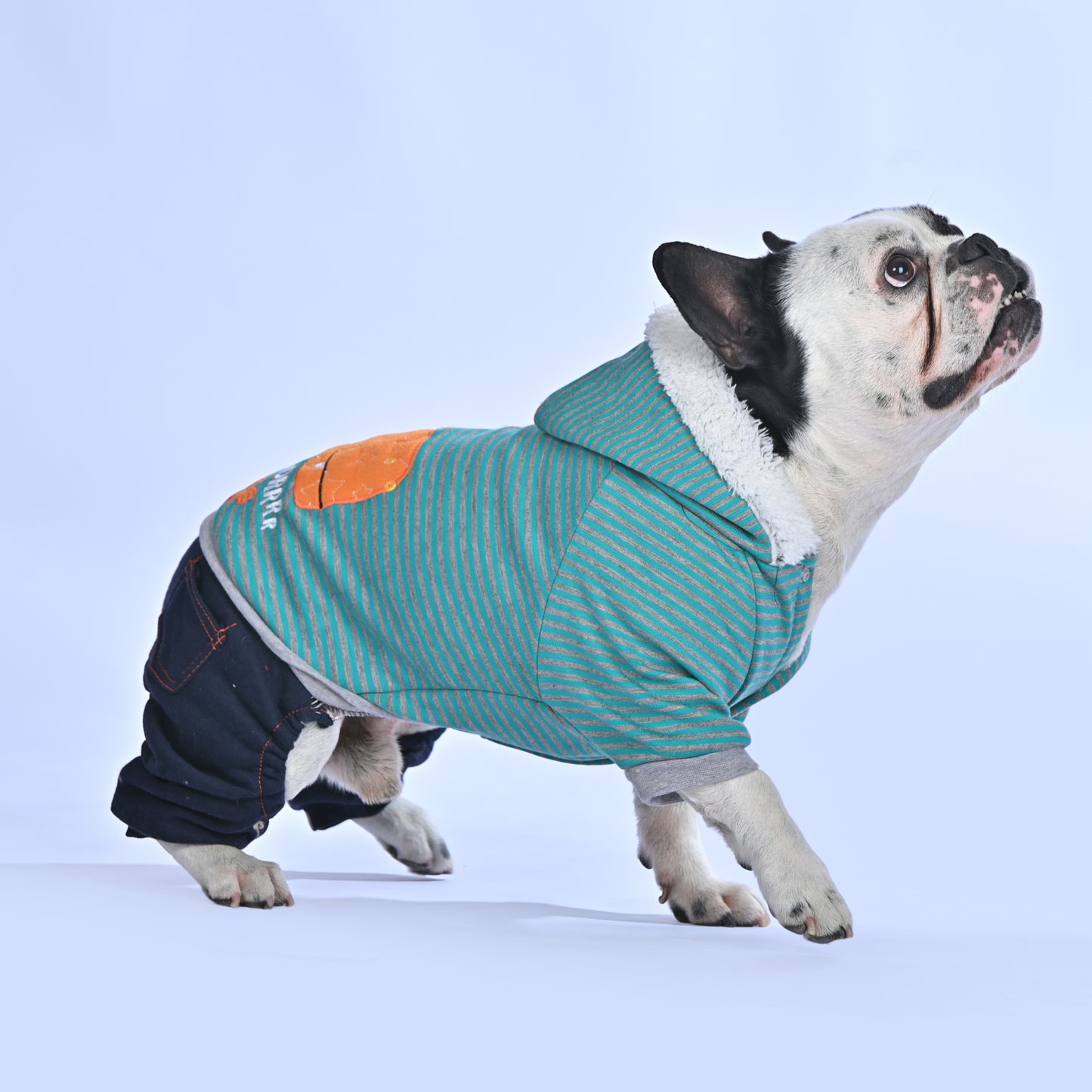 Casual Dino Hoodie