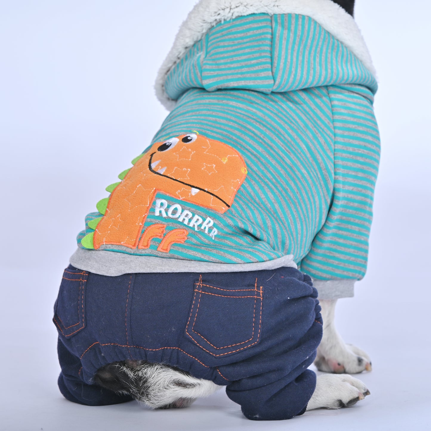 Casual Dino Hoodie