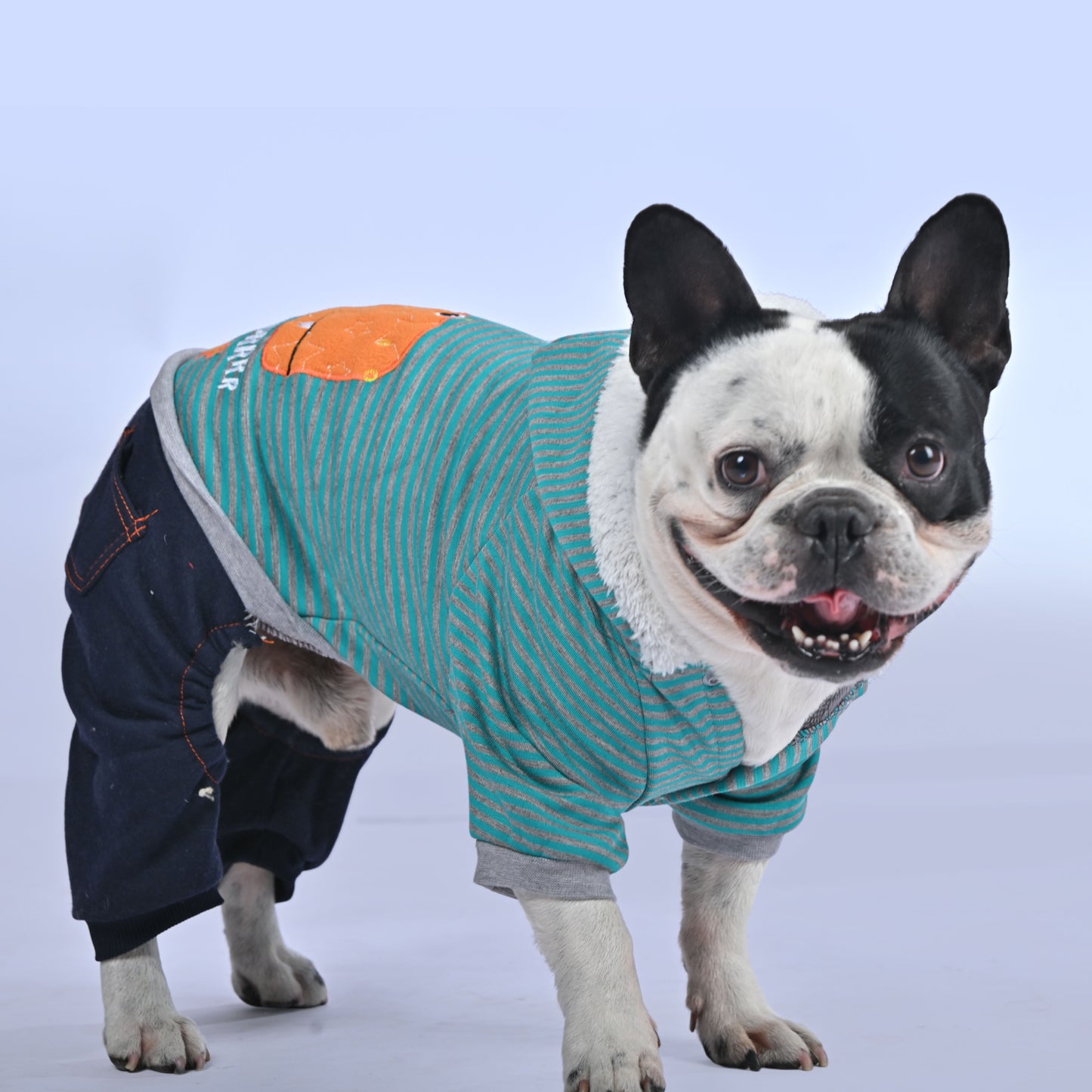 Casual Dino Hoodie