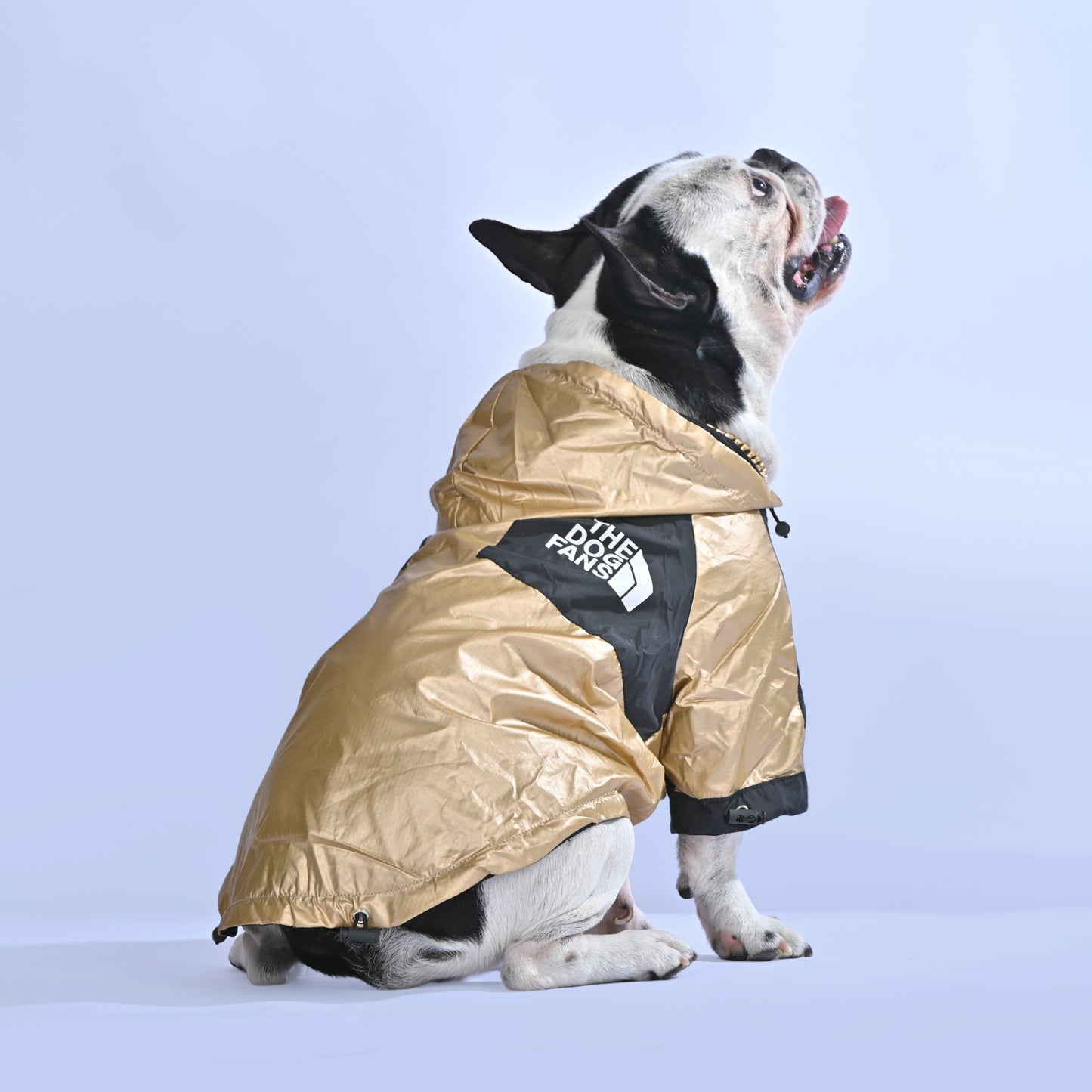Frenchie Face Raincoat