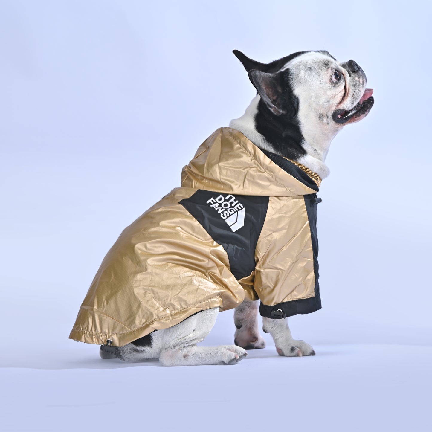 Frenchie Face Raincoat