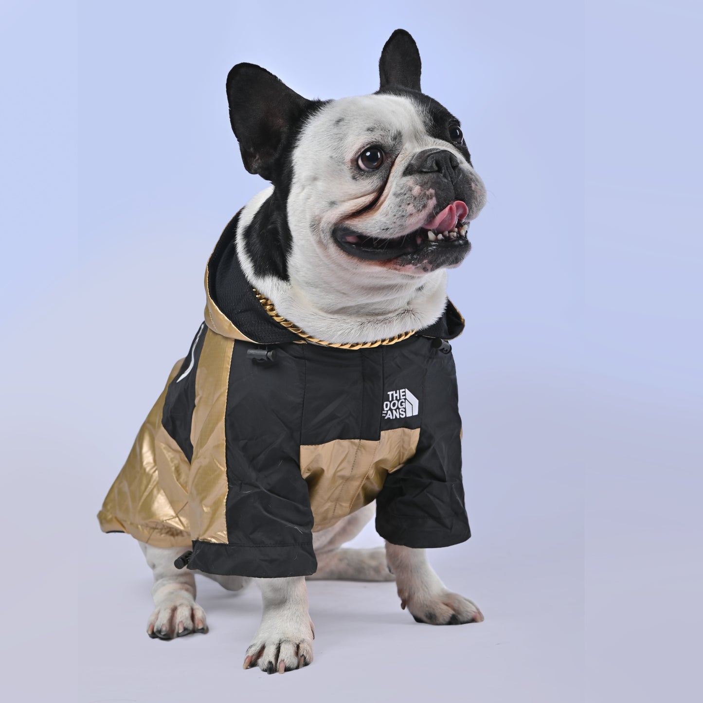 Frenchie Face Raincoat