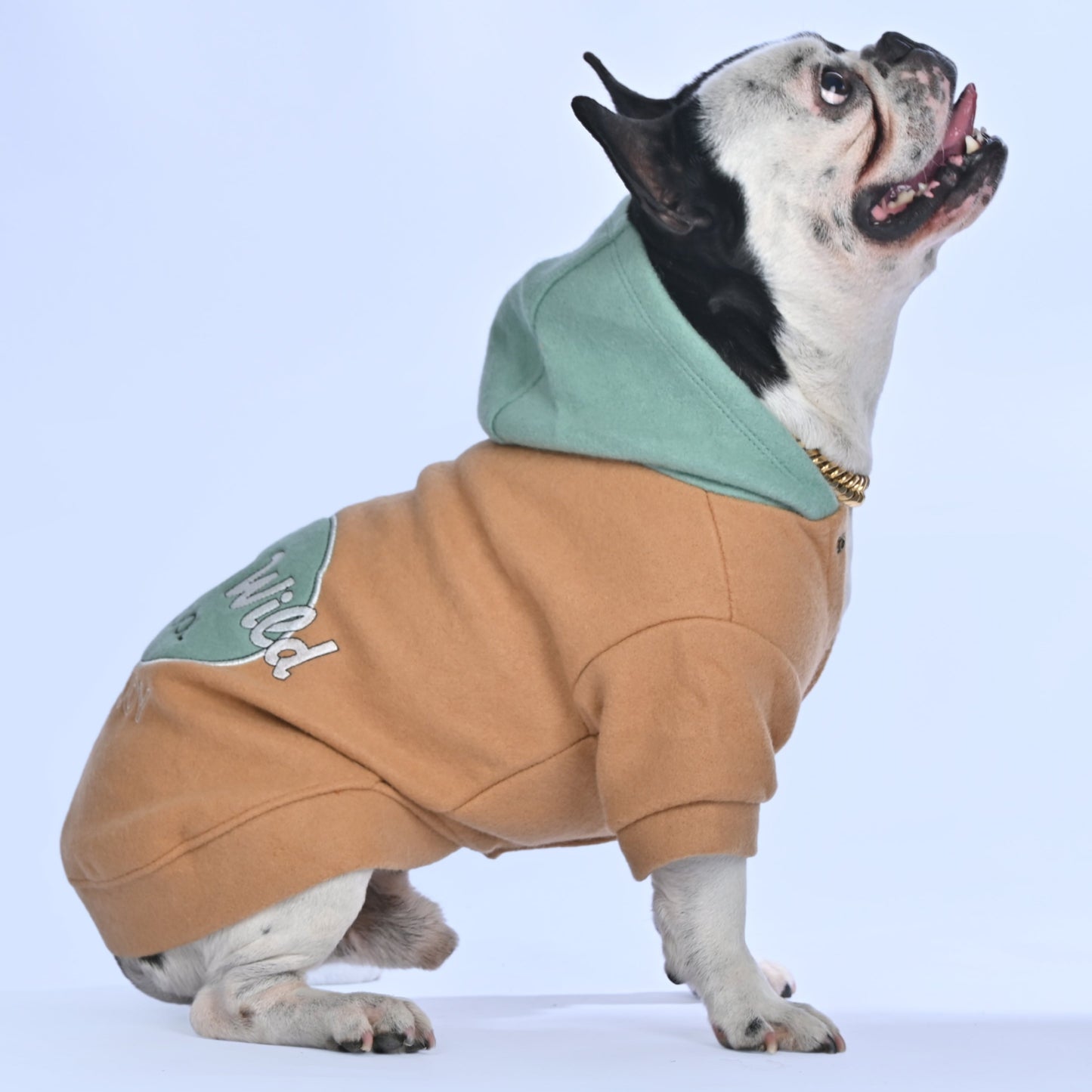 Stay Wild Hoodie