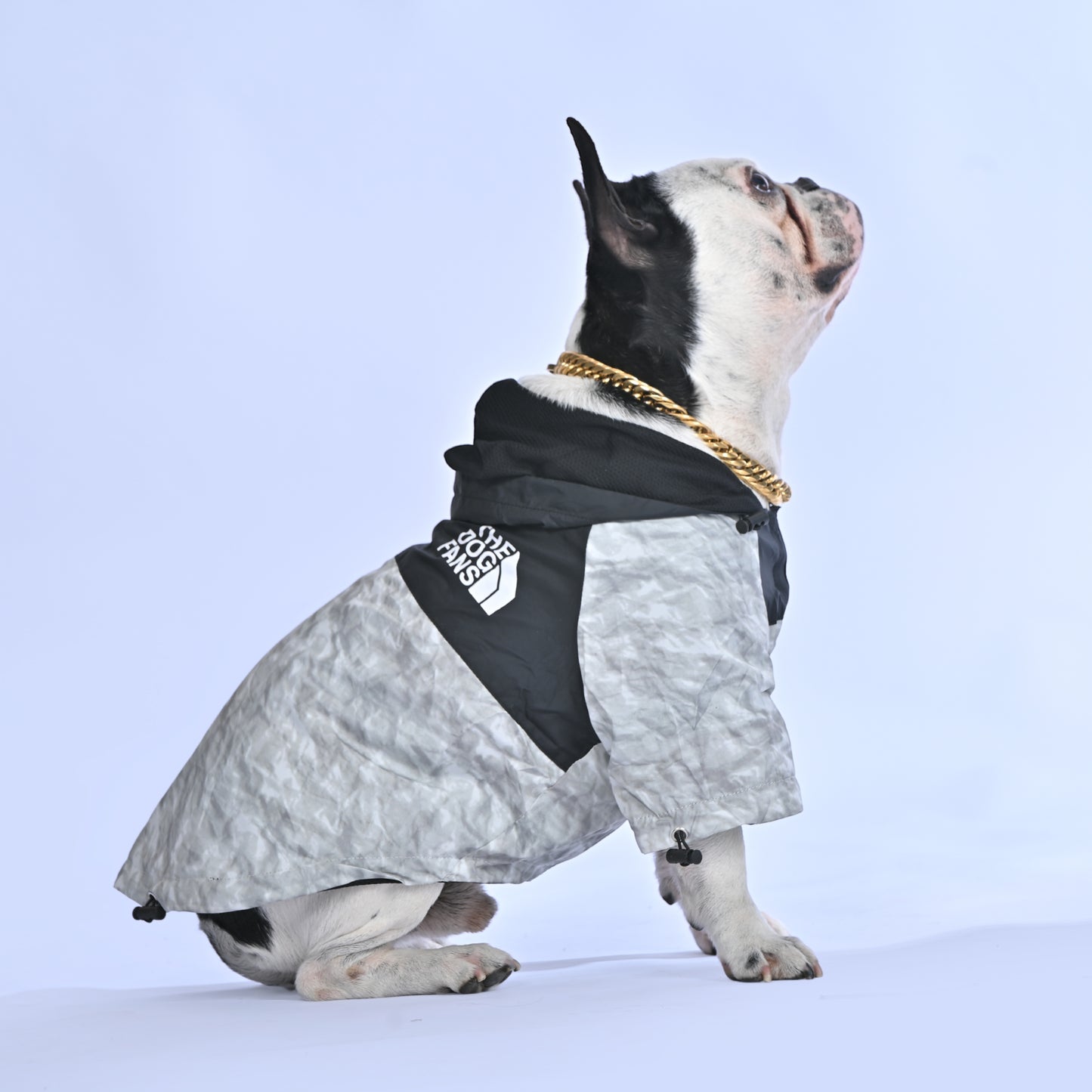Iceberg raincoat