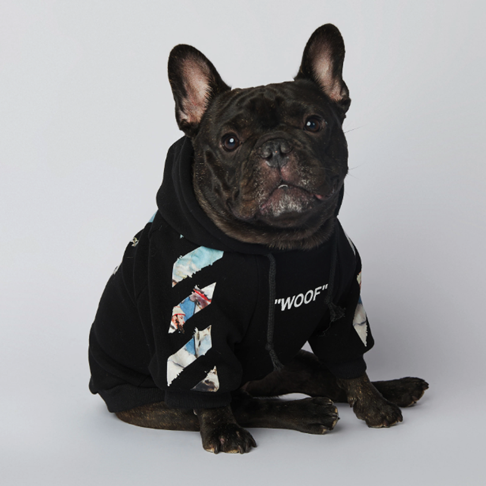 Frenchier™ - French Bulldog Woof Hoodie V4 - Frenchie.us