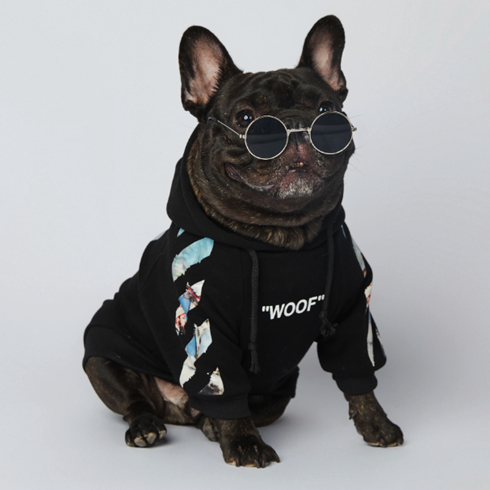 Frenchier™ - French Bulldog Woof Hoodie V4 - Frenchie.us