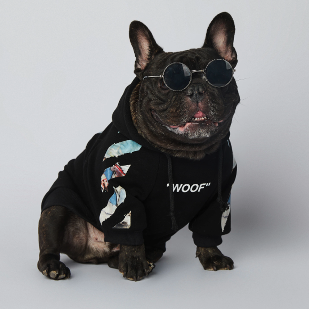 Frenchier™ - French Bulldog Woof Hoodie V4 - Frenchie.us