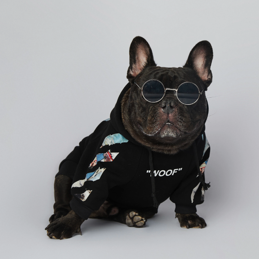 Frenchier™ - French Bulldog Woof Hoodie V4 - Frenchie.us
