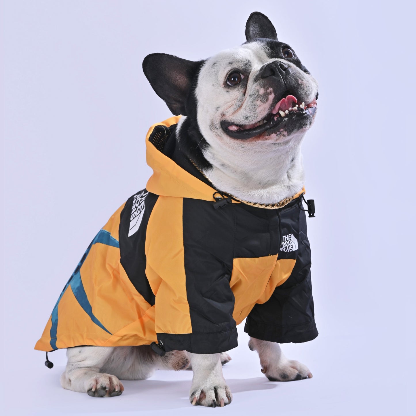 North Liberty Raincoat