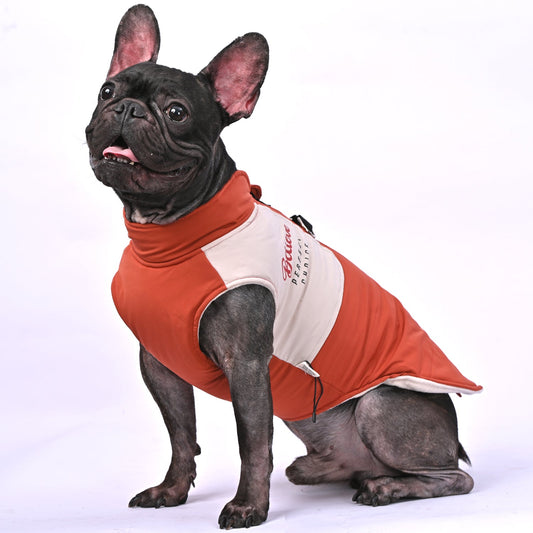 ChillChic-Frenchie-Winter-Jacket-with-Harness-www.frenchie.us