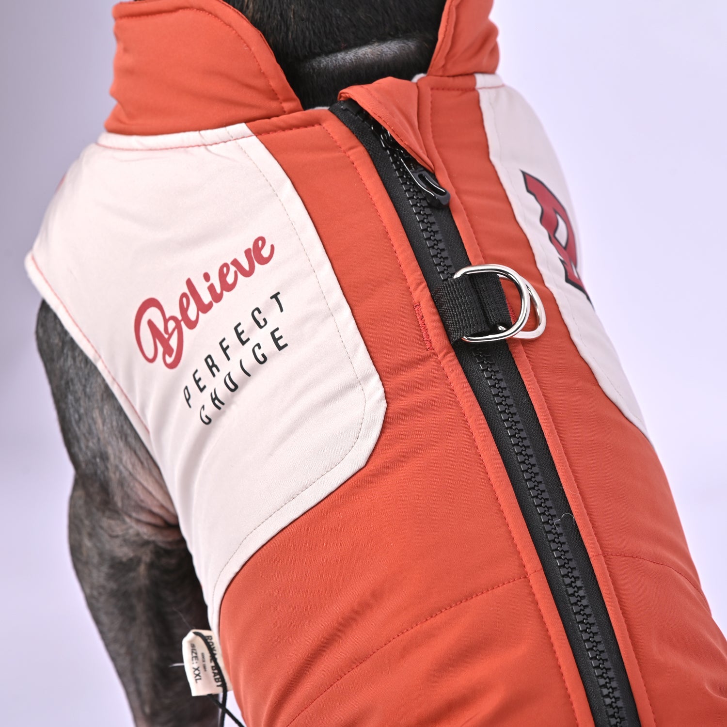 ChillChic-Frenchie-Winter-Jacket-with-Harness-www.frenchie.us