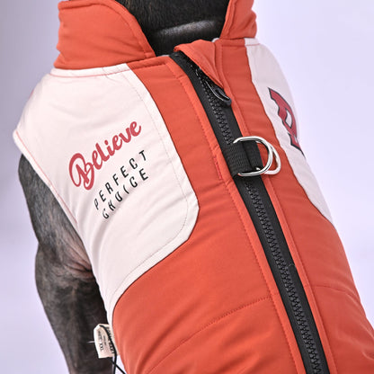 ChillChic-Frenchie-Winter-Jacket-with-Harness-www.frenchie.us